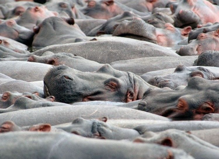 lenten journal: words that say together