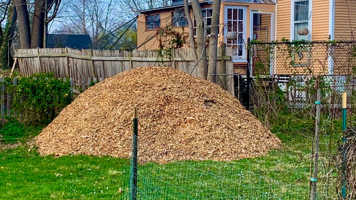 lenten journal: chipping in