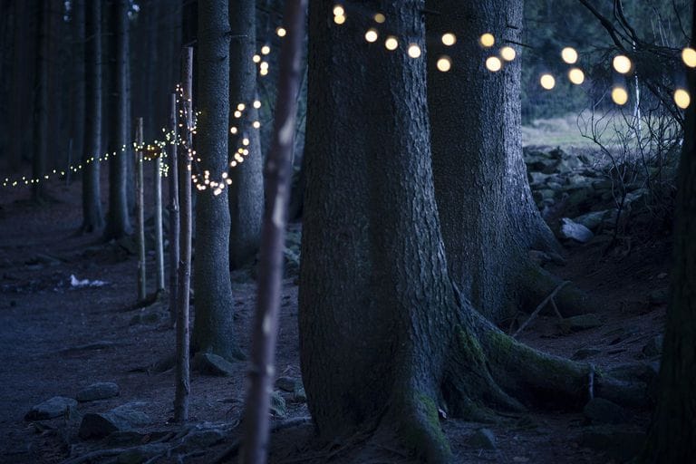 advent journal: the longest night