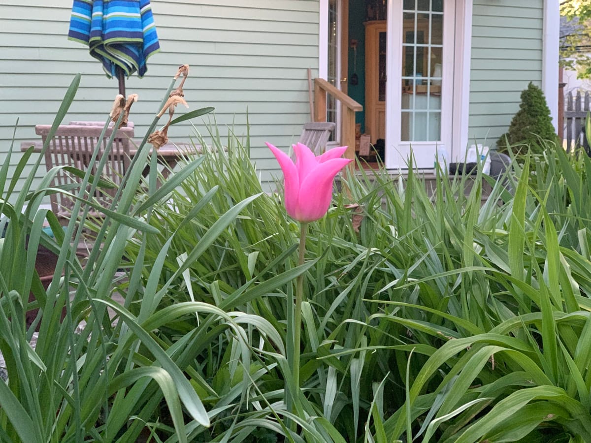 everything never stops singing