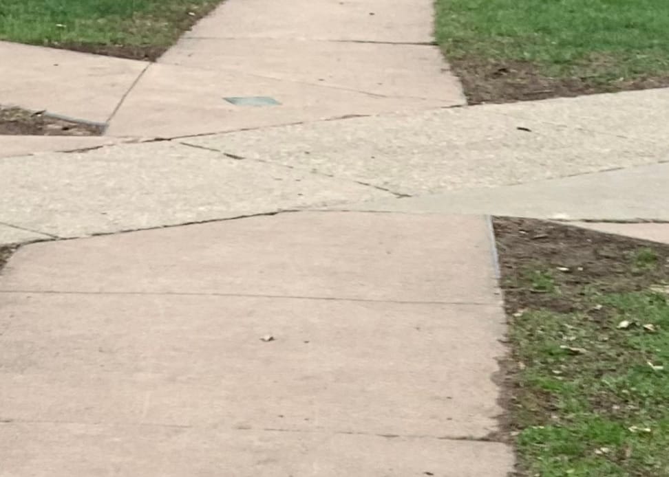 advent journal: take a moment