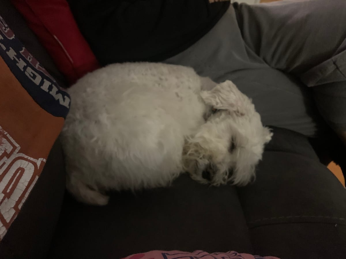 advent journal: still tired