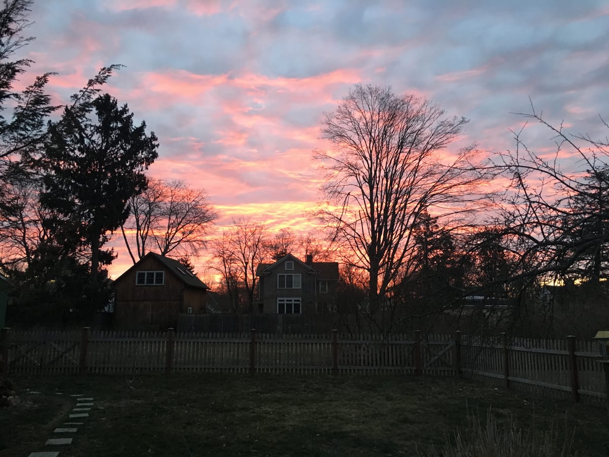 lenten journal: light matters