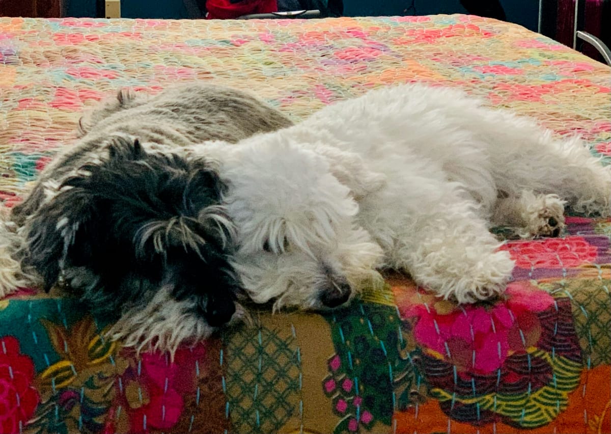 lenten journal: exhausted