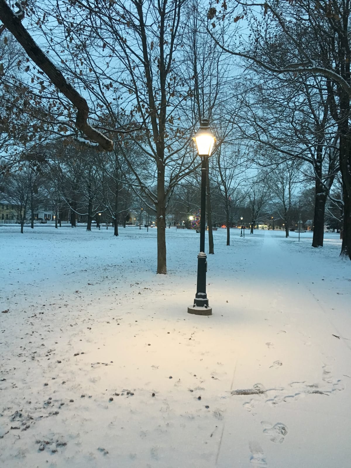 advent journal: far afield