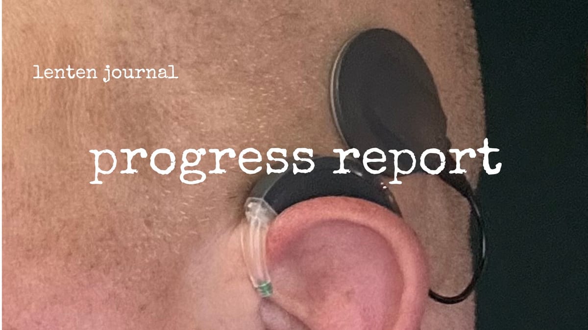 lenten journal: progress report