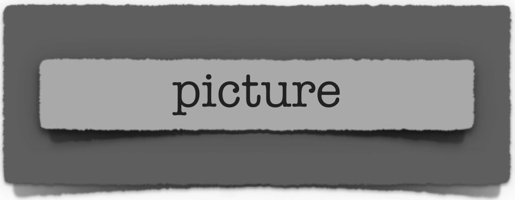 lenten journal: picture