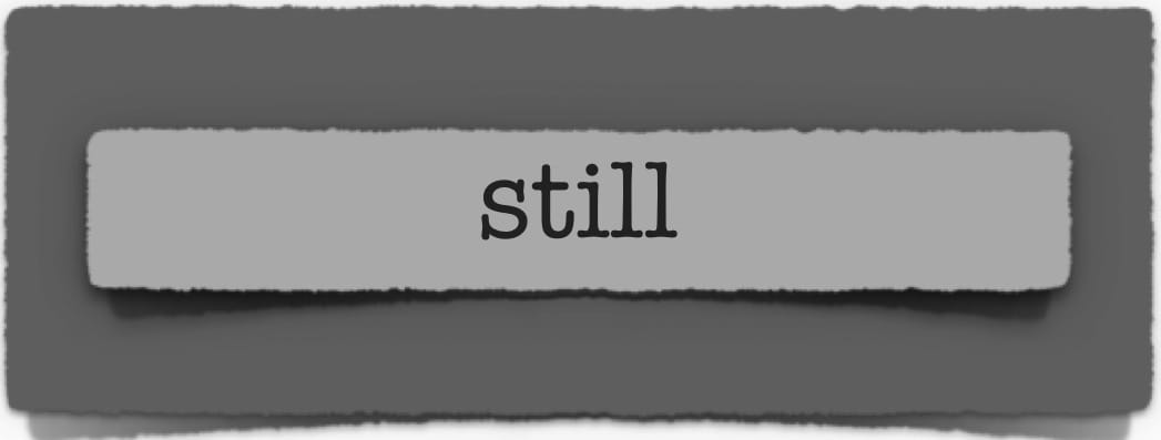lenten journal: still