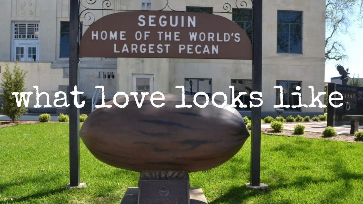 what love looks like