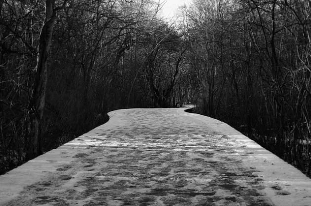 advent journal: songs for the journey