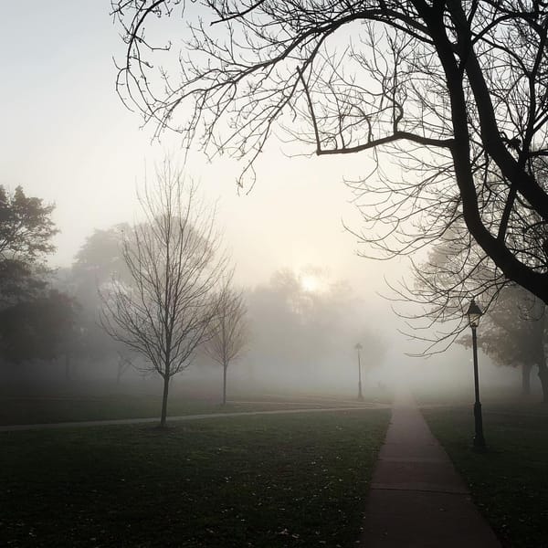 advent journal: return visit