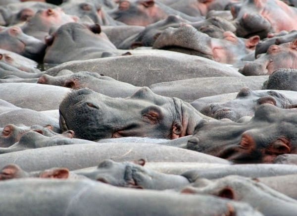 lenten journal: words that say together