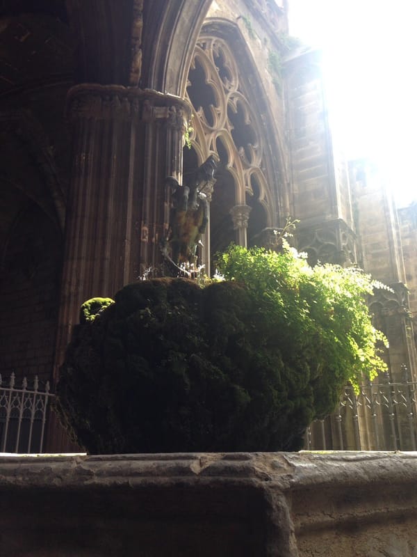 dreaming in barcelona