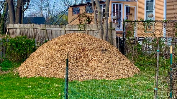 lenten journal: chipping in