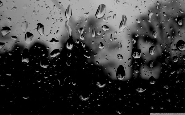 advent journal: in other decembers