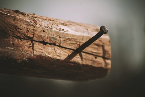 lenten journal: cross words