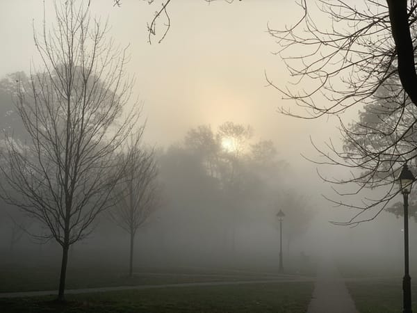 advent journal: songs for the days ahead