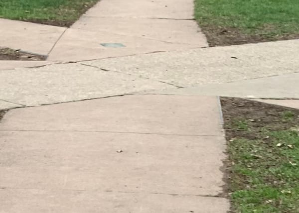 advent journal: take a moment