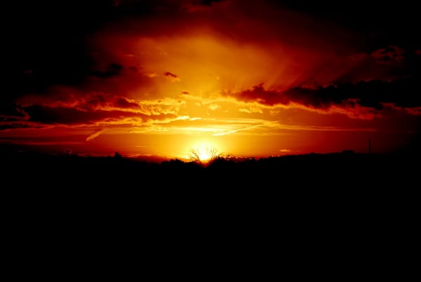 christmastide: this day after