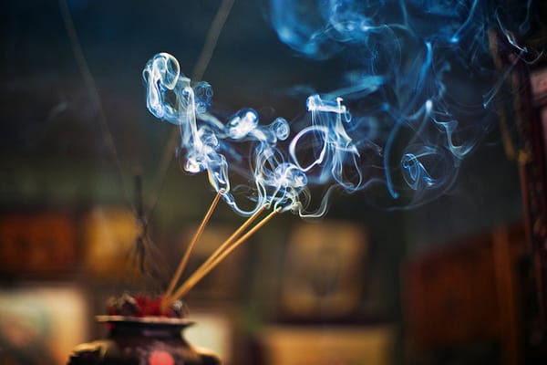 advent journal: redolence