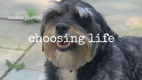 lenten journal: choosing life