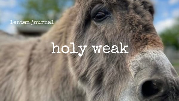 lenten journal: holy weak