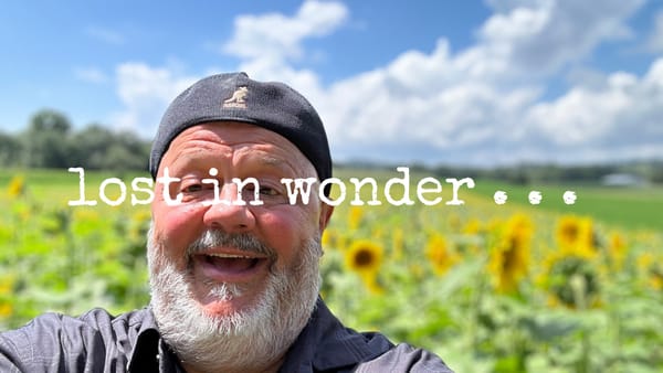 lost in wonder . . .