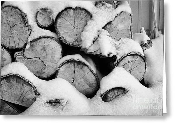 lenten journal: weather report