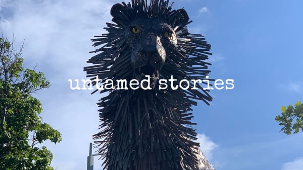 untamed stories
